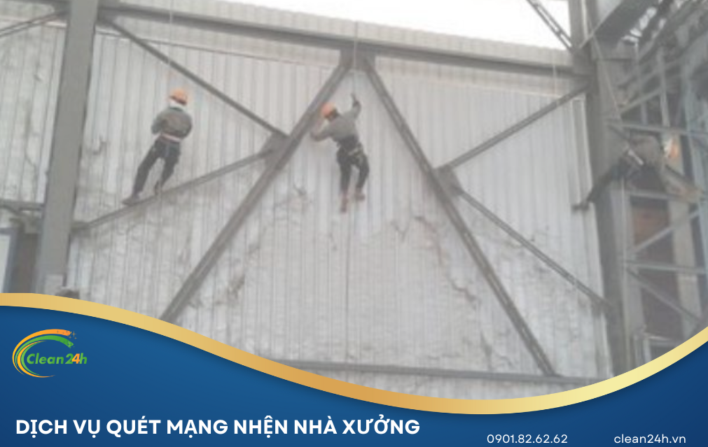 Dịch vụ quét mạng nhện nhà xưởng
