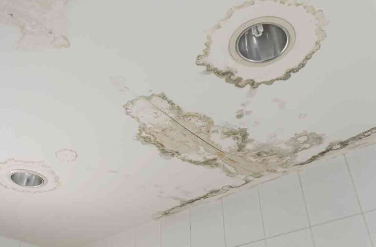Cách xử lý trần thạch cao bị thấm nước và ẩm mốc