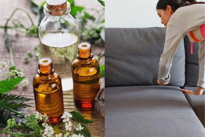 Sử dụng tinh dầu, nước xả vải giúp sofa lưu hương thơm lâu